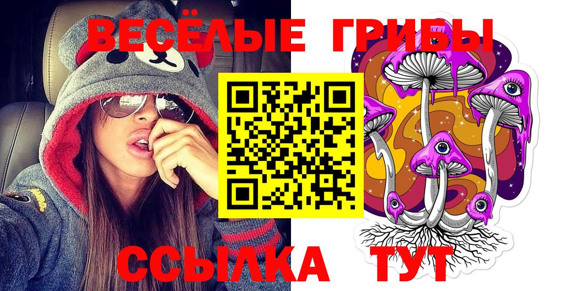 Галлюциногенные грибы мухоморы  Галлюциногенные грибы MAGIC MUSHROOMS  закладки  Моршанск  Вход с VPN 