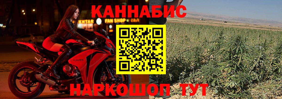 Марихуана гибрид Моршанск